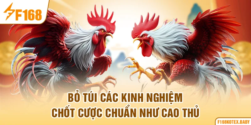 Bỏ túi các kinh nghiệm chốt cược chuẩn như cao thủ