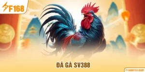 Đá gà SV388