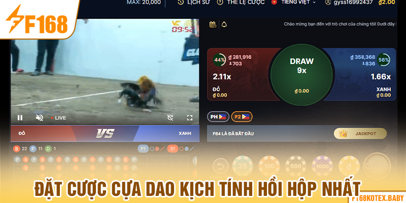 Đặt cược cựa dao kịch tính hồi hộp nhất