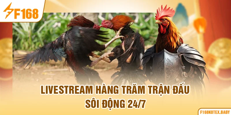 Livestream hàng trăm trận đấu sôi động 24/7