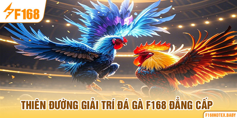 Thiên đường giải trí đá gà F168 đẳng cấp